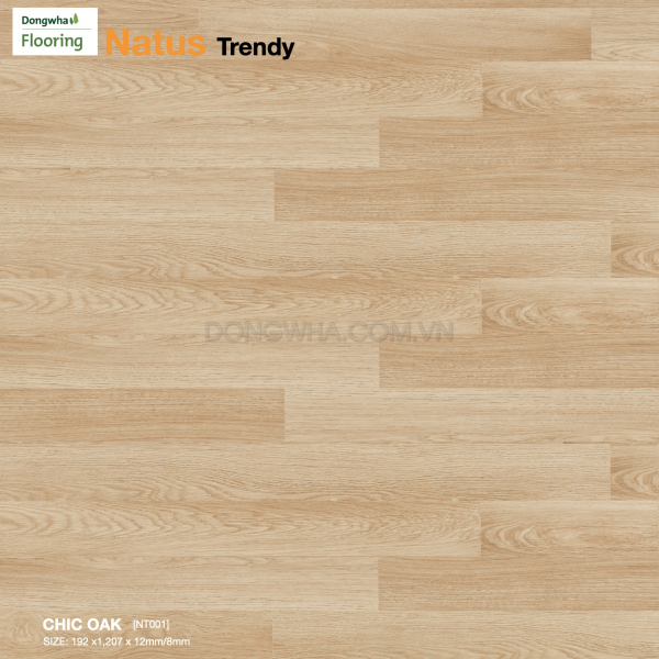 san-go-dongwha-NT001-chic-OAK-1
