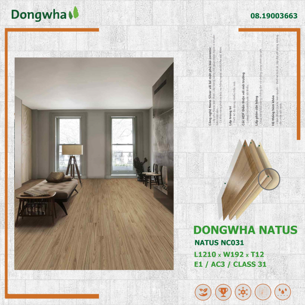 Dongwha-natus-NC031