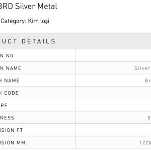 9031 - BRD Silver Metal-1