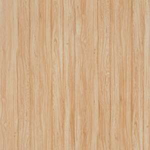 1011 - SUD Beaver Oak