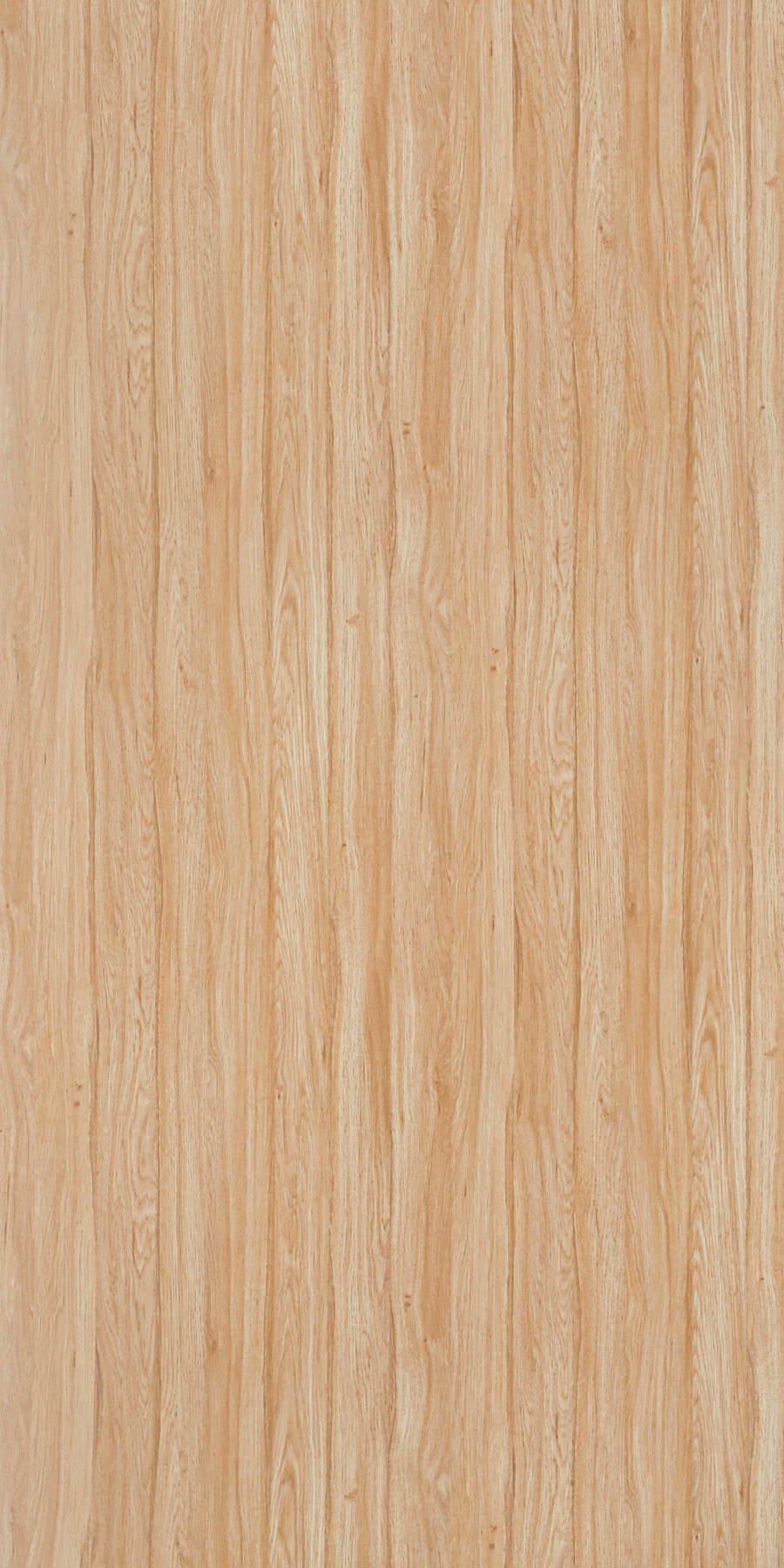 1011 - SUD Beaver Oak