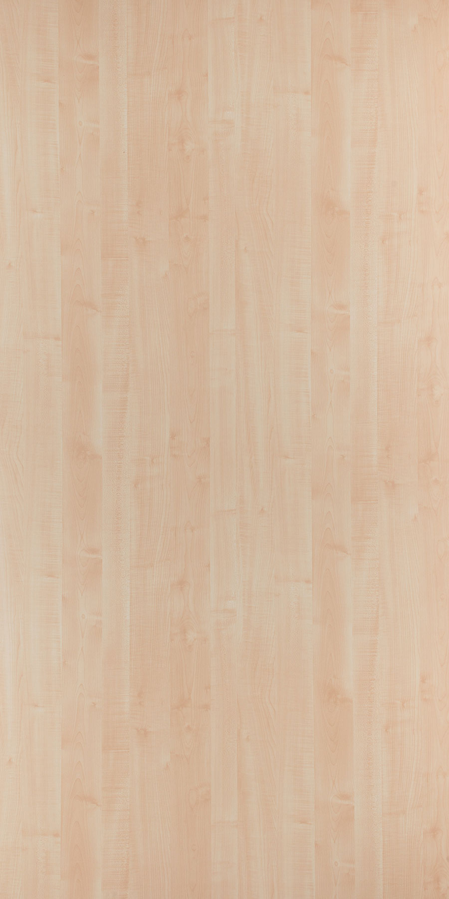 1072 - SUD Sugarcoat Maple