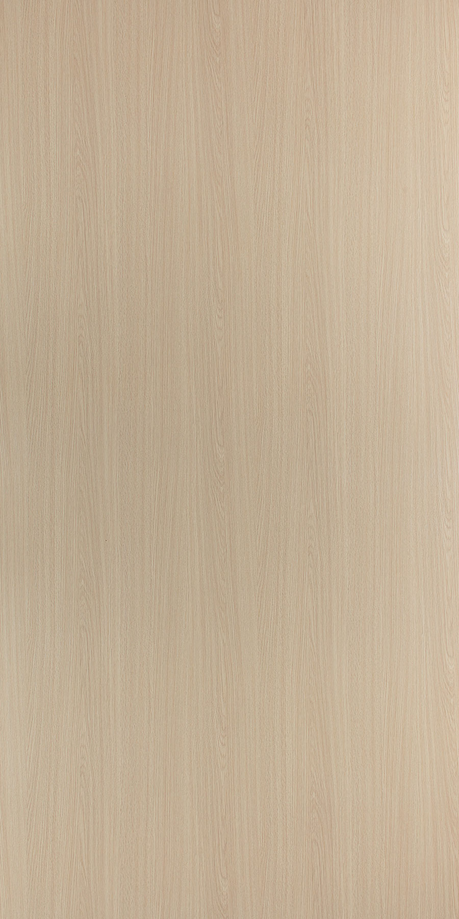 1448 - SUD Divine Oak