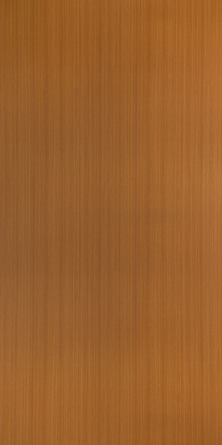 1463 - SUD Lacquered Teak