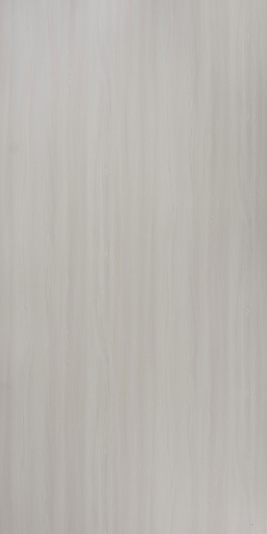 7618 - SUD Rimini Elm