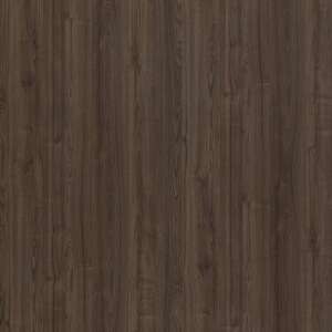 7639 - ORG Canary Oak